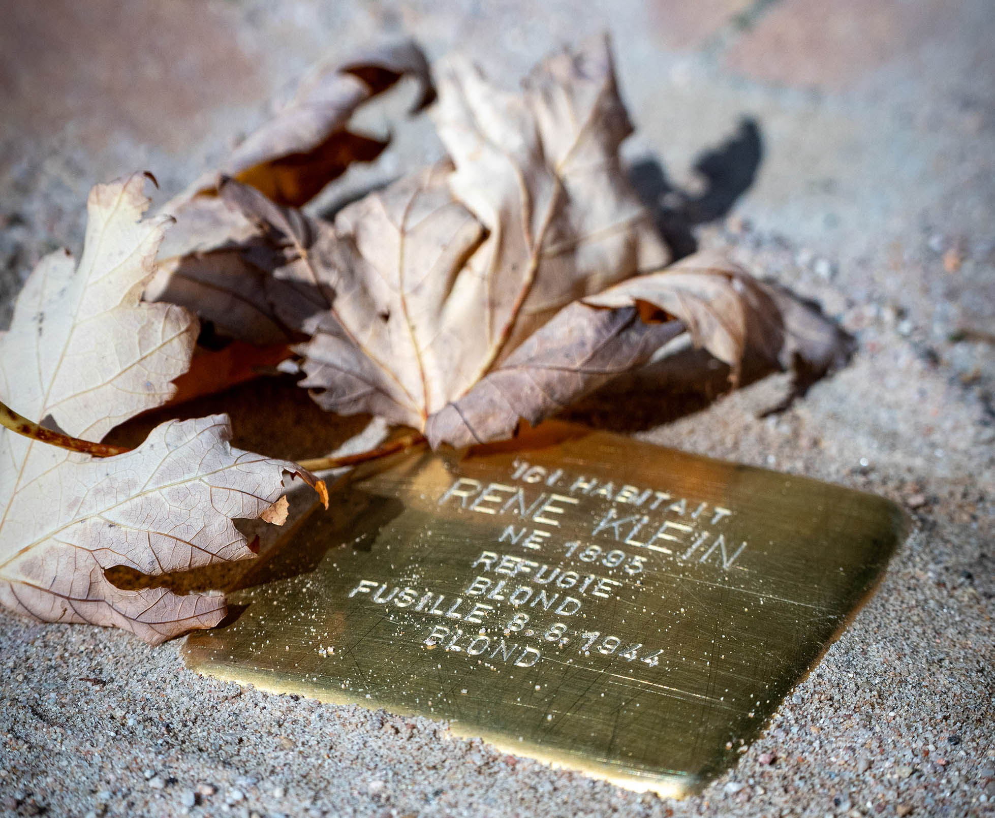 Pose de Stolperstein pour René Klein à Niederrœdern (Alsace)